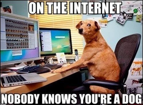 dog sat at computer